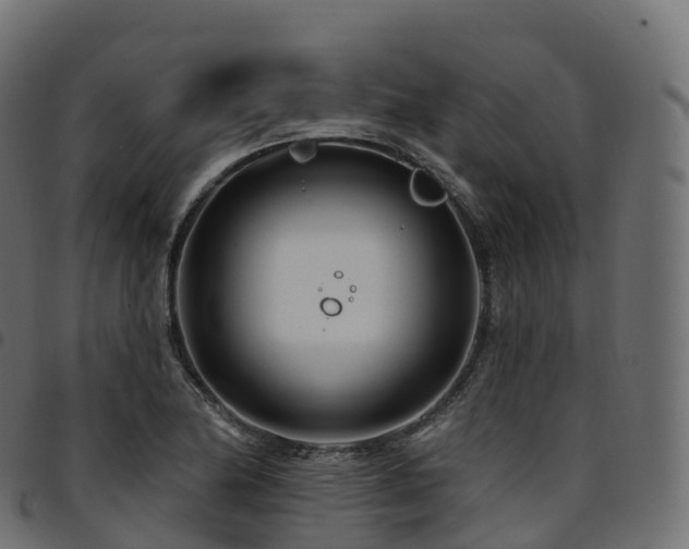 X0000094921174200711291305