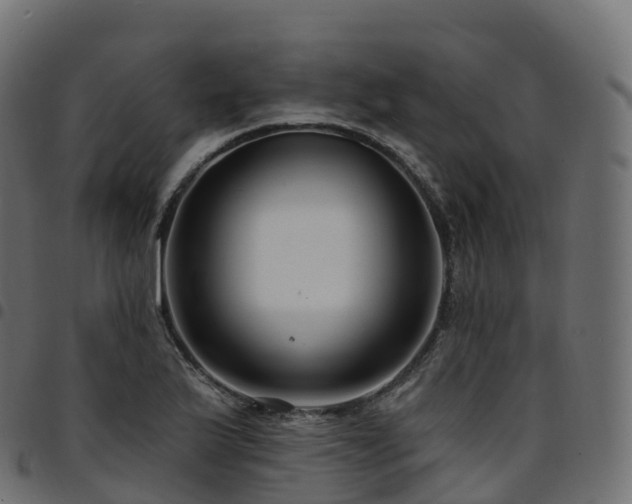 X0000094921175200711291305