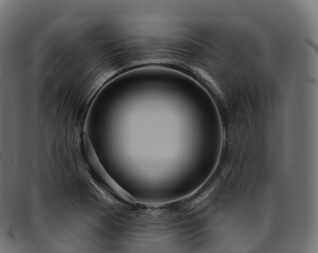 X0000094921177200711291305
