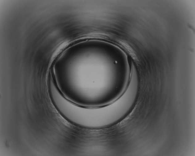 X0000094921180200711291305