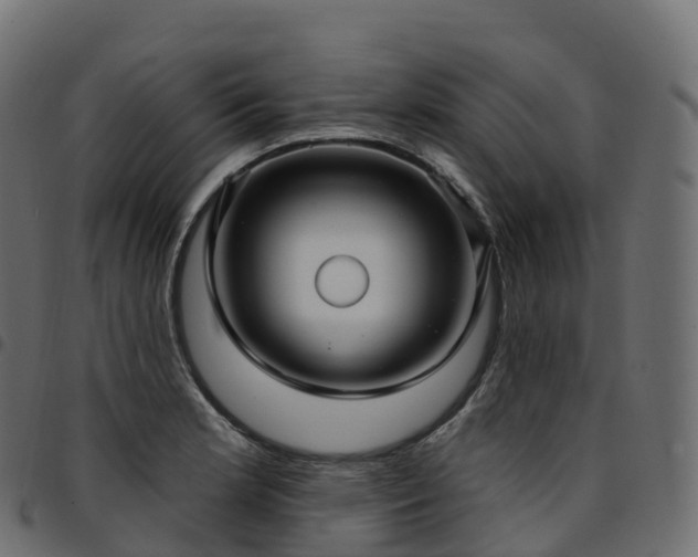X0000094921181200711291305