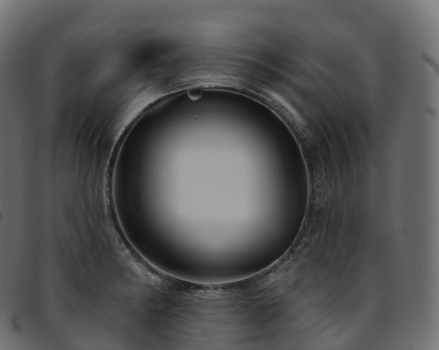 X0000094921182200711291305