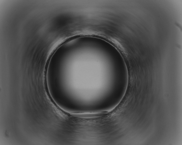 X0000094921183200711291305