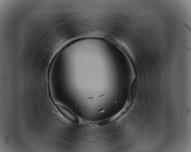 X0000094921184200711291305