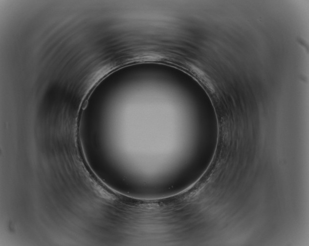 X0000094921186200711291305