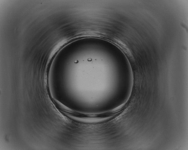 X0000094921188200711291305