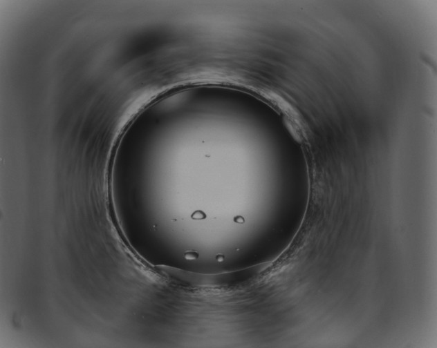 X0000094921191200711291305