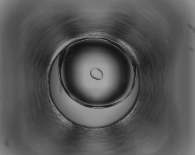 X0000094921192200711291305