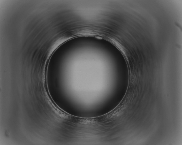 X0000094921195200711291305