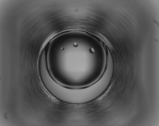 X0000094921196200711291305