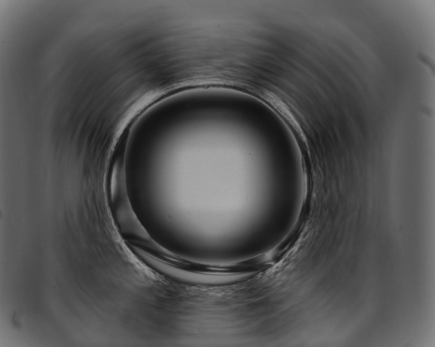 X0000094921197200711291305