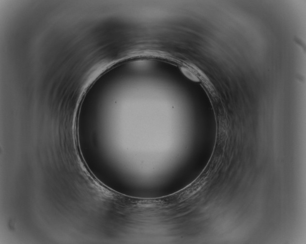 X0000094921199200711291305