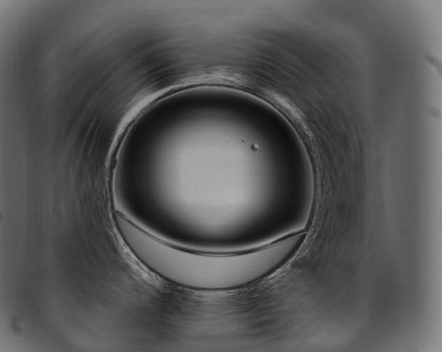 X0000094921200200711291305