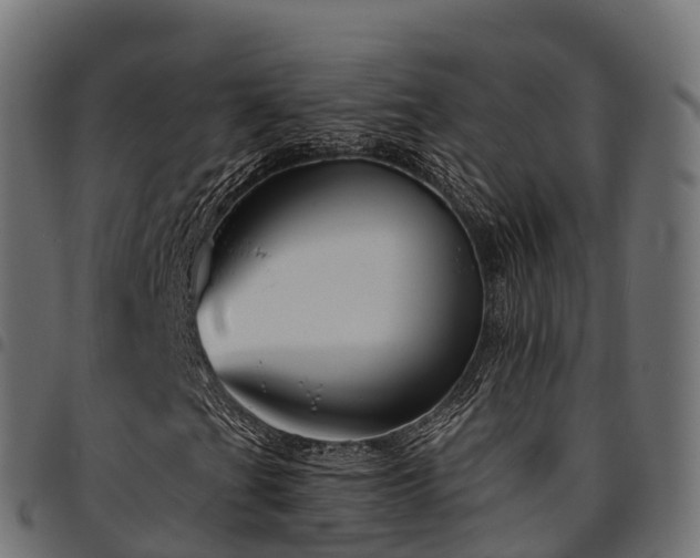 X0000094921201200711291304