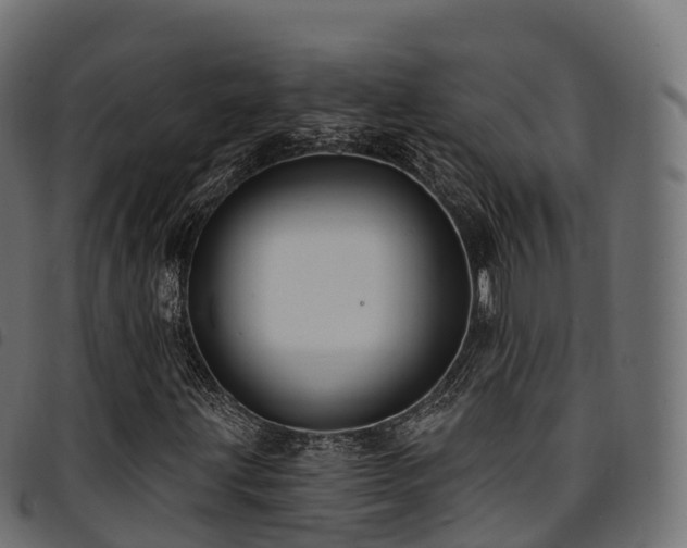 X0000094921203200711291304