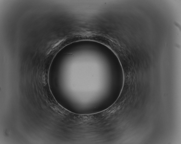 X0000094921205200711291304