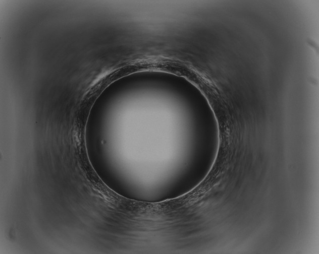 X0000094921206200711291304