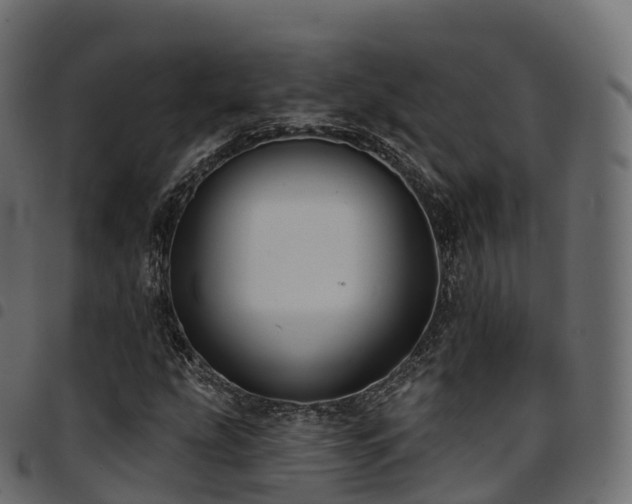 X0000094921207200711291304