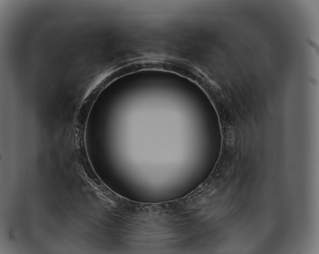X0000094921208200711291304