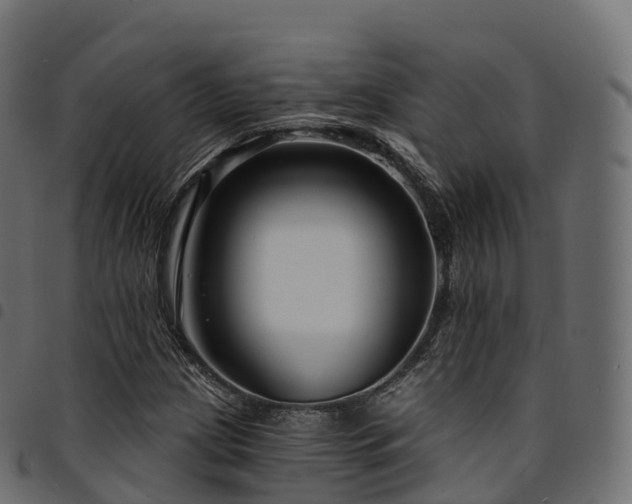 X0000094921209200711291304