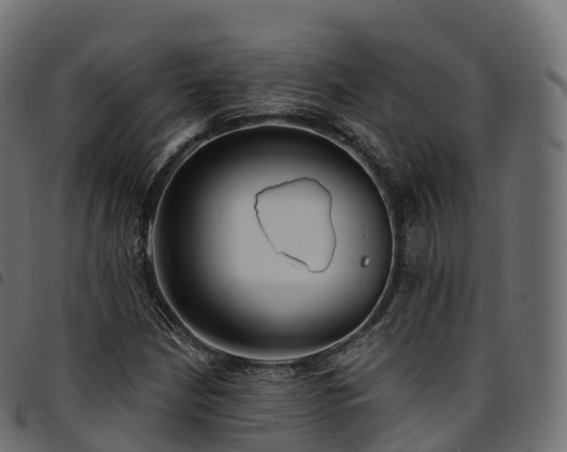 X0000094921210200711291304