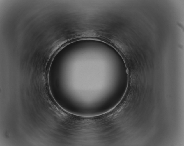 X0000094921212200711291304