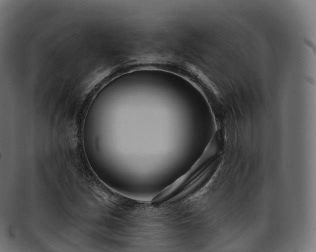 X0000094921213200711291304