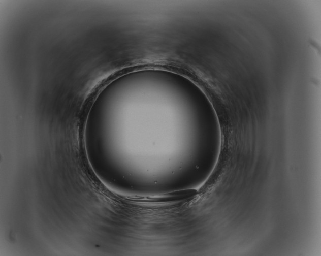 X0000094921214200711291304