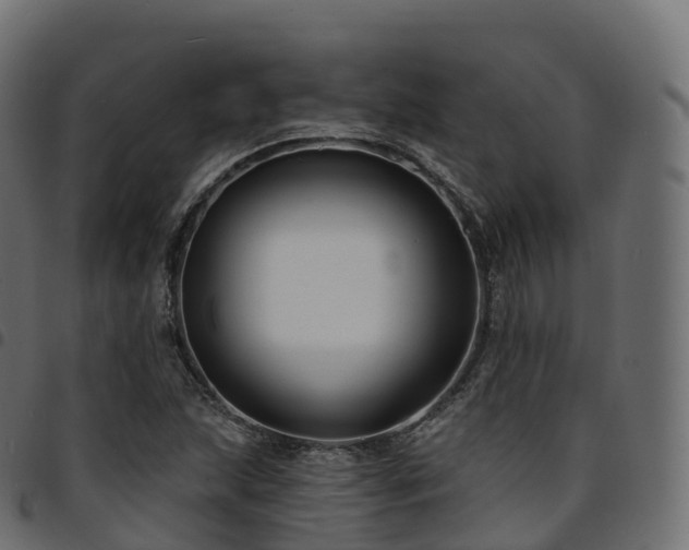 X0000094921215200711291304