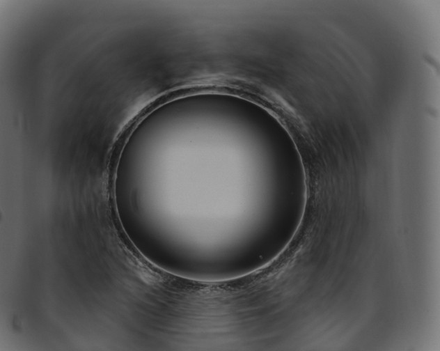 X0000094921216200711291304