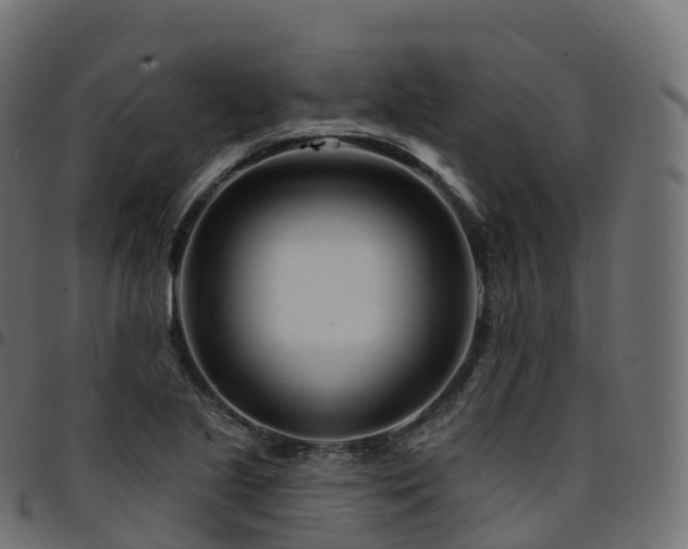 X0000094921221200711291305
