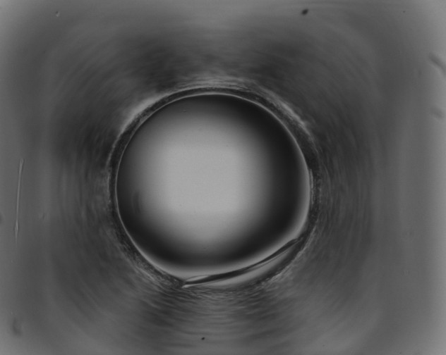 X0000094921222200711291305