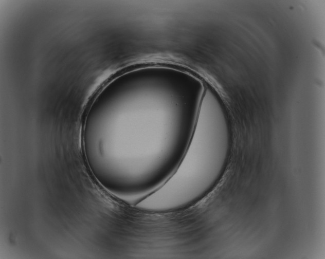 X0000094921224200711291305