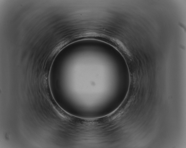 X0000094921225200711291305