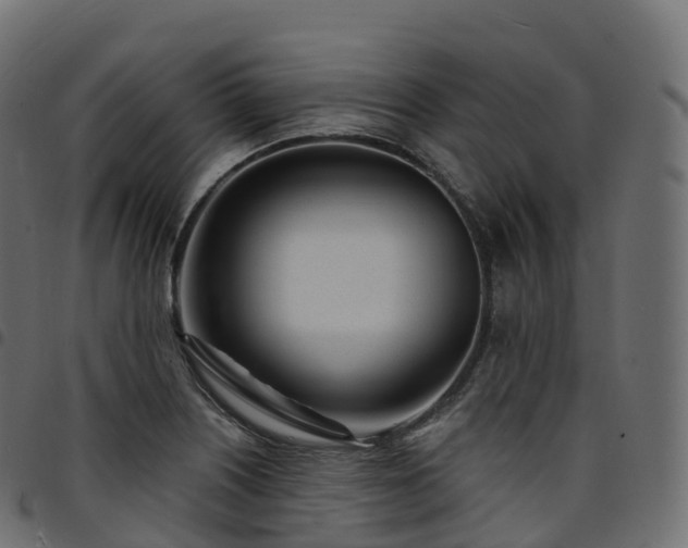 X0000094921226200711291305
