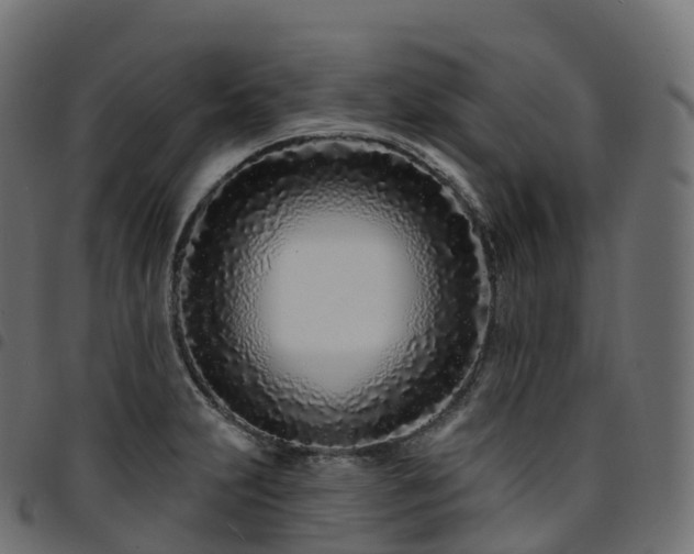 X0000094921231200711291305