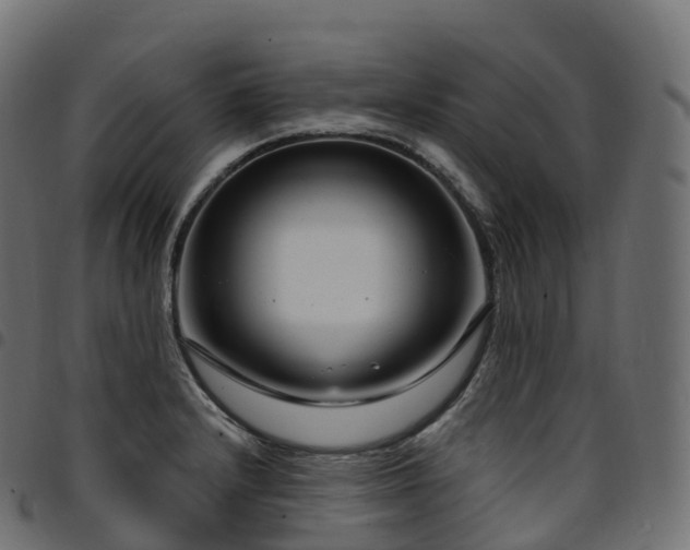 X0000094921232200711291305