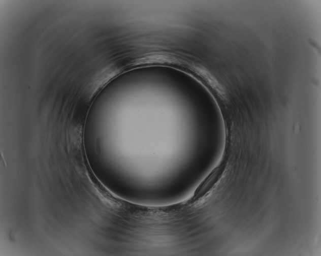 X0000094921233200711291305