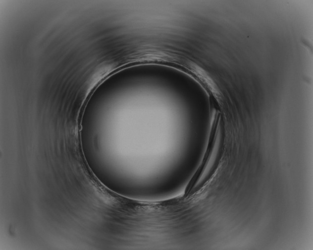 X0000094921234200711291305
