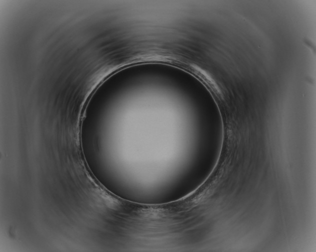 X0000094921236200711291305