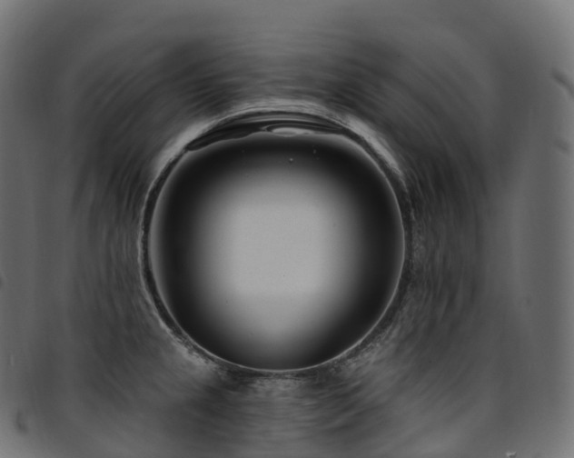 X0000094921237200711291305