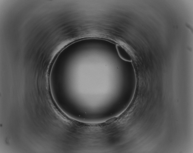 X0000094921238200711291305
