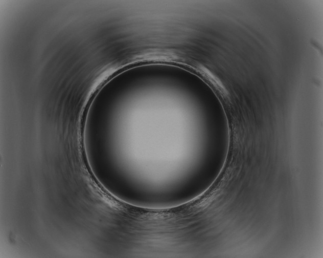 X0000094921240200711291305