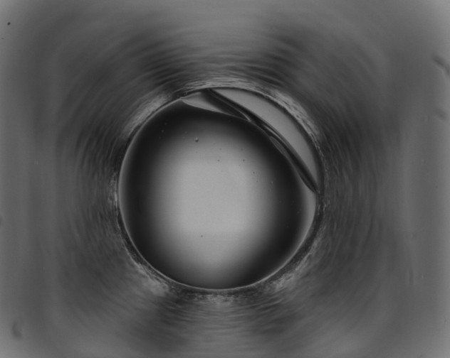 X0000094921241200711291305