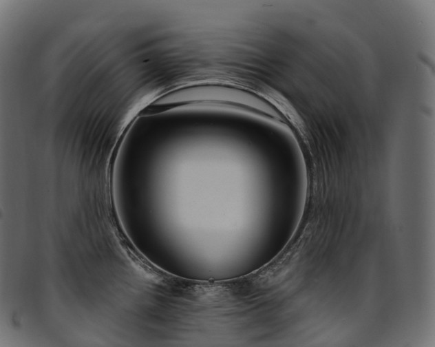 X0000094921242200711291305