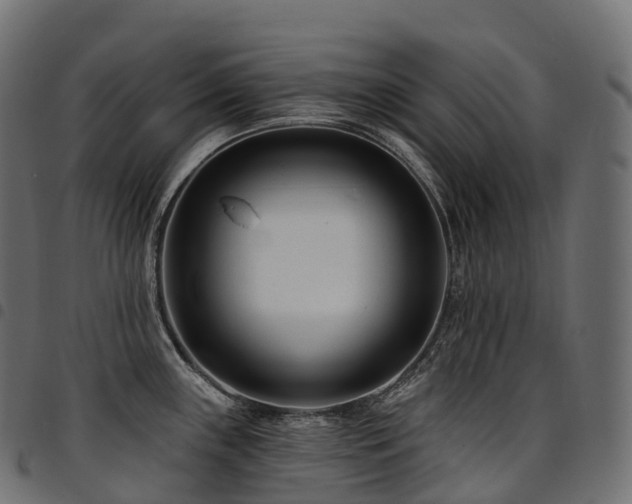 X0000094921243200711291305