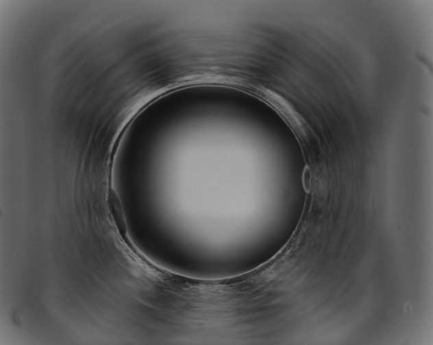 X0000094921244200711291305