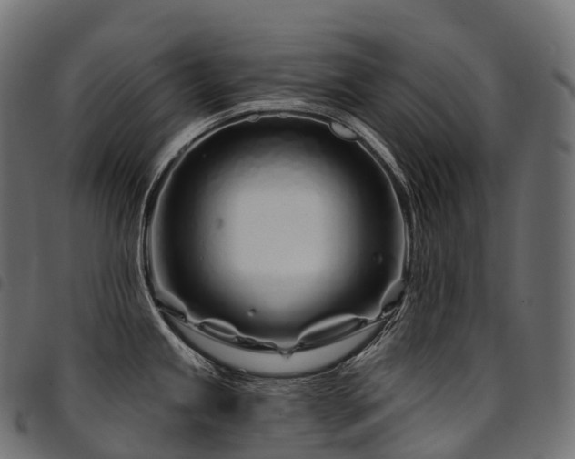 X0000094921245200711291305