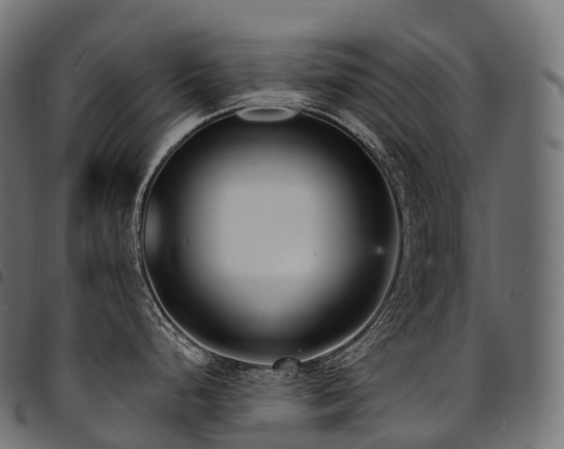 X0000094921248200711291305