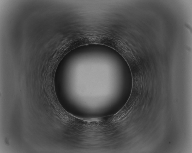 X0000094921249200711291304
